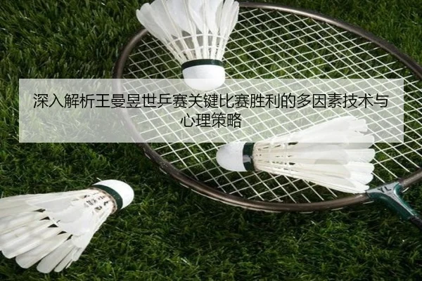 深入解析王曼昱世乒赛关键比赛胜利的多因素技术与心理策略